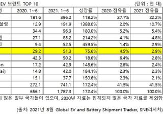 테슬라, 올 상반기 전기차 판매 1위…현대차는 6위로 떨어져