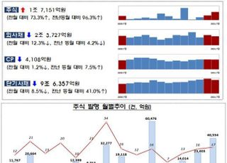 지난달 기업 주식발행 73%↑…'카뱅' 등 IPO대어 영향