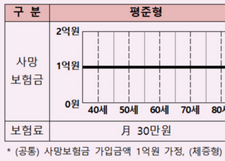 금감원, '체증형 종신보험' 소비자 주의보 발령