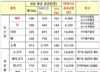 가을장마까지…추석특수 사라질 판, 농산물 가격 빨간불