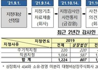 금감원, '감사인지정제' 온라인 설명회 개최