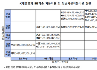 2분기 지주·은행 BIS비율 13.15%…전분기比 0.27%p↑