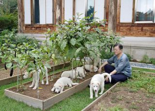 '아름' '다운' 등…문대통령, 풍산개 '곰이' 새끼 7마리 이름 공개