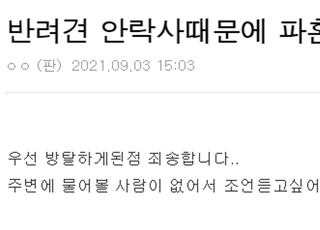 "반려견 안락사 때문에 연락두절인 남친, 파혼이 맞는 걸까요?"