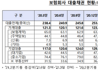 상반기 보험사 대출채권 260兆…3개월 새 5조↑