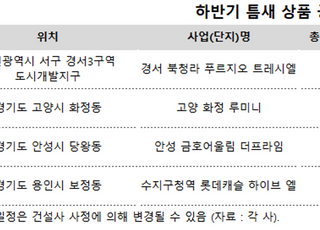 잇따른 부동산 규제에 '틈새상품'으로 몰려든 수요