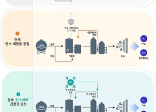 한화솔루션, 합성가스 상업생산 개시…탄소포집 기술 도입