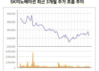 SK이노, 오늘 배터리 분할 주총...주주 환원책 내놓을까