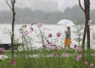 [오늘날씨] 추석 당일 전국적으로 비…저녁 때 그칠 듯