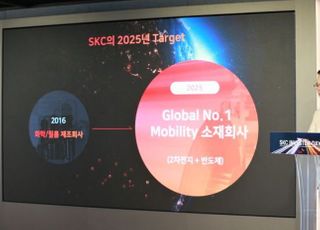 SKC, "2025년 기업가치 30조원 목표 향해 비상"