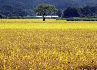 [내일날씨] 전국 대체로 흐림…일교차 10도 이상