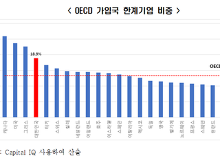 전경련 “韓 기업 5개 중 1개 숨만 붙어있는 ‘좀비기업’”