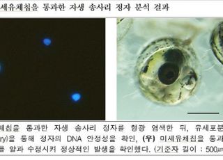 국립생물자원관, 송사리·포유류 우수 정자 선별법 개발