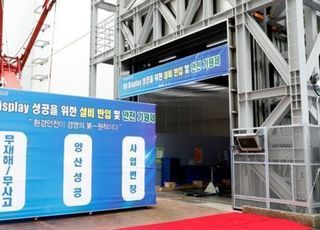 삼성·LG ‘자발광’ 경쟁 초읽기…“韓 DP 주도권 찾을 기회”