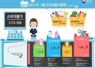 정부 대책 안 통하는 물가…9월 2.5% 올랐다