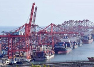 [국감 2021] FTA 무역 피해 중소기업 5년새 '최다'