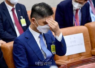 [국감 2021] 카카오 김범수 "시장 점유율 올라도 수수료 안 올리겠다" 약속