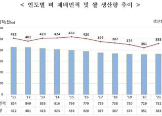 올해 쌀 생산량 9.1% 늘어날 듯…9년 만에 증가