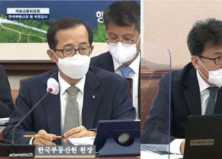 [국감2021] 손태락 부동산원 원장 "실거래 중 이상거래는 표기 검토"