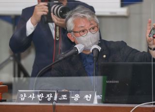 "발가락질 할까" "클레오파트라 코"…대장동 국감 2R '말말말'