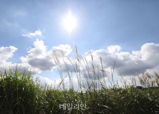 [오늘 날씨] 전국 화창한 가을…제주 밤부터 비소식