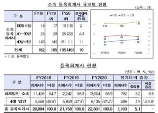 지난해 회계법인 매출 4兆 돌파…4대 법인 점유율은↓