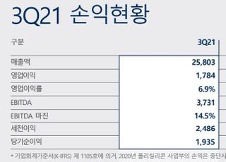 한화솔루션, 태양광 부진에 3Q 영업익 23.5%↓…"4Q도 큐셀 적자 전망"(종합)