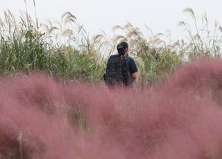 [내일날씨] 일교차 크게 벌어져 아침 ‘쌀쌀’…낮 최고기온 21도