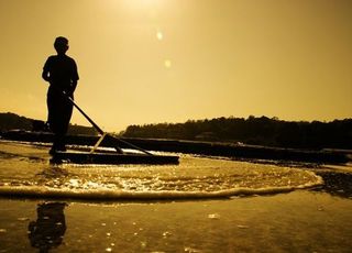 또다른 '염전노예' 사건되나…전남 신안 염전 사업주의 임금체불·감시 수사