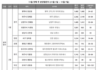 [주간분양] 2차 사전청약, 신희타 이어 약 6천가구 공공분양