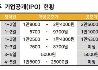 카카오페이 다음 주자 SM상선·디어유...IPO 활황 잇는다