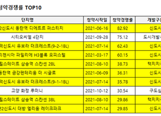 오피스텔 청약률 상위 10곳 중 8곳이 ‘신도시·택지지구’