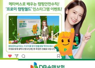 DB손보, '프로미 캠핑 월드' 오픈 이벤트