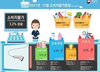 10월 소비자물가 3.2%↑…9년 9개월 만에 최고