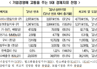 전경련 “원자재 부담 등 기업경영 ‘5중고’ 내년에도 지속”