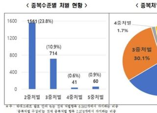 전경련 “주요 경제법률 형사처벌 항목 중 36.2% 중복처벌...5중처벌도”