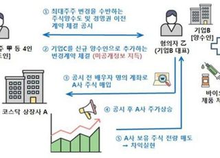 증선위, 3분기 자본시장 불공정거래 31명·16개사 적발