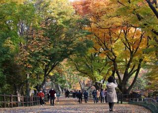 [내일날씨] 찬바람 불며 초겨울 날씨...곳곳 비·눈