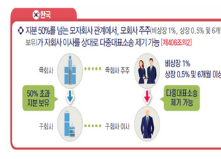 전경련 “美 델라웨어주처럼 회사법에 기업 경영 자유 보장해야”