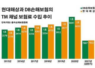 현대해상 vs DB손보, TM 선두 경쟁 '점입가경'