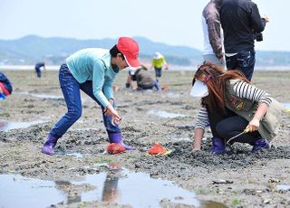 [D:로그인⑨] 수산·어촌전문 한국어촌어항공단, 살고싶은 어촌만들기 도전