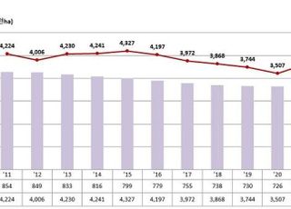 기상 호조로 올해 쌀 생산량 10.7%↑…가격도 상승