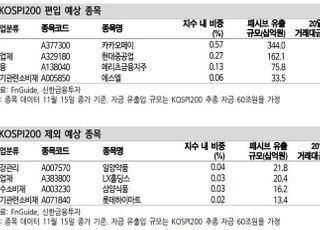 신한금투 “메리츠금융·카카오페이 등 코스피200 편입 전망”