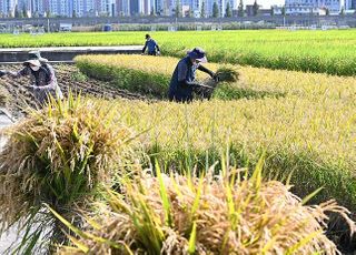 농식품부, ‘농촌에서 살아보기’ 프로젝트 첫 성과 공유