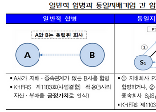 금감원 "국내 동일기업 합병 시 장부금액법 성공적으로 정착"