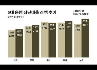 집단대출 '규제 공포'…5대 은행서 올해만 7조↑