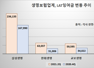 새 회계제도가 뭐길래…생보업계는 '부담', 손보업계는 '기대'