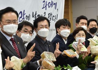 2021 포항 구룡포과메기 홍보 및 미디어 설명회 참석한 이준석-김기현 