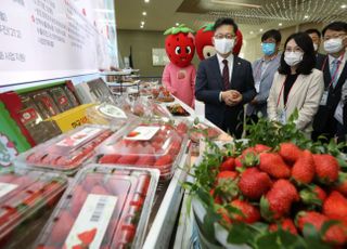 농수산식품 수출, 100억 달러 넘었다…역대 최초