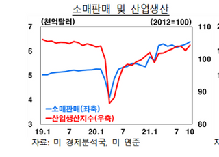 한은 “미국, 경기회복세 지속...중국, 규제강화로 성장둔화”